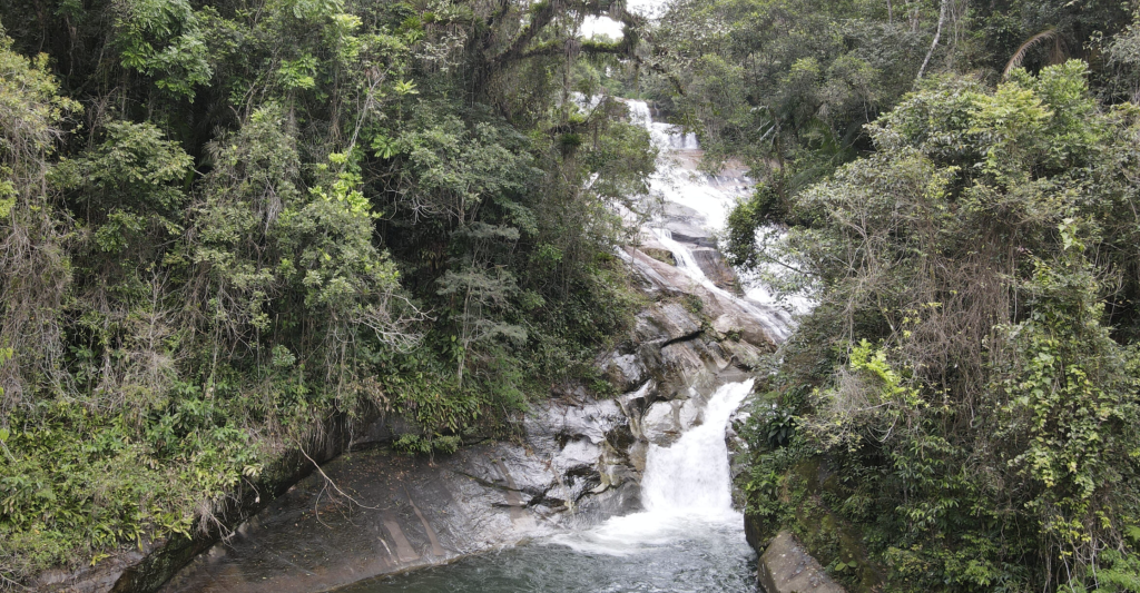 Serra da Cutia National Park